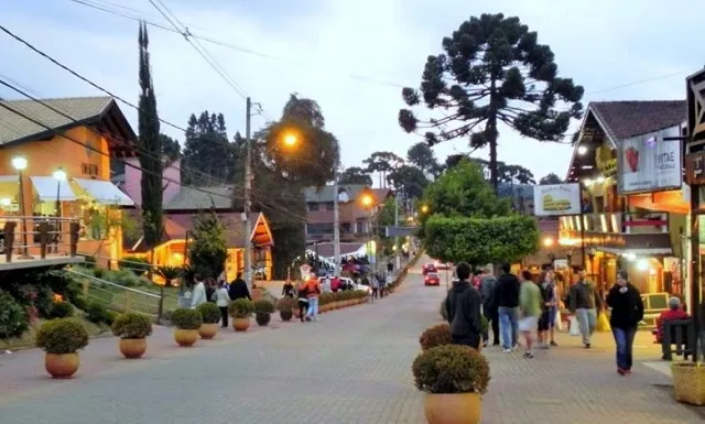 Plantar Monte Verde