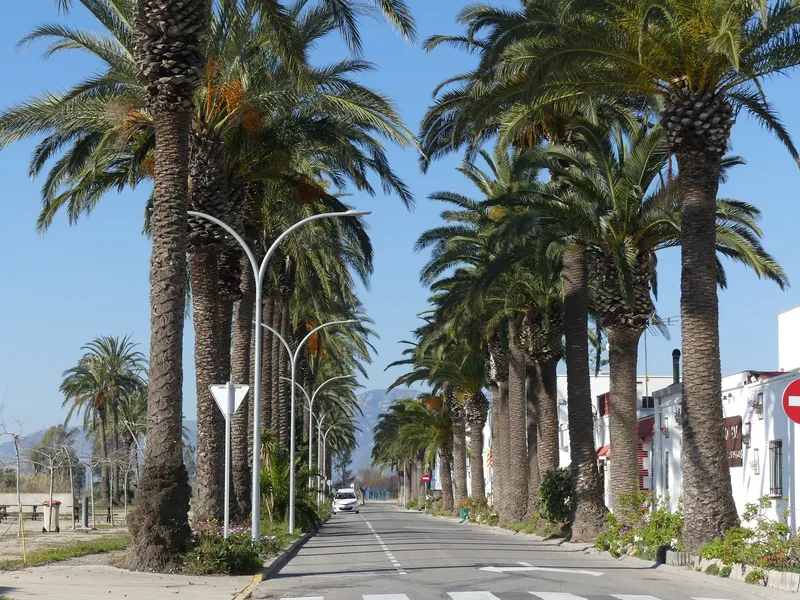 Platja de les Delícies
