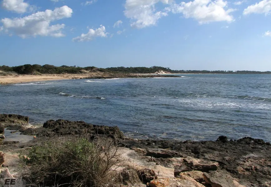 Platja de les Salines