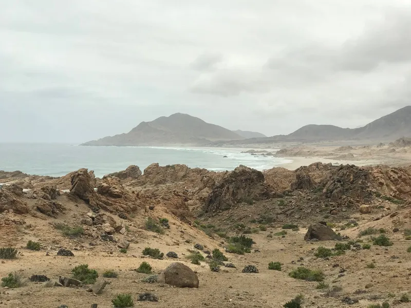 Playa Amarilla