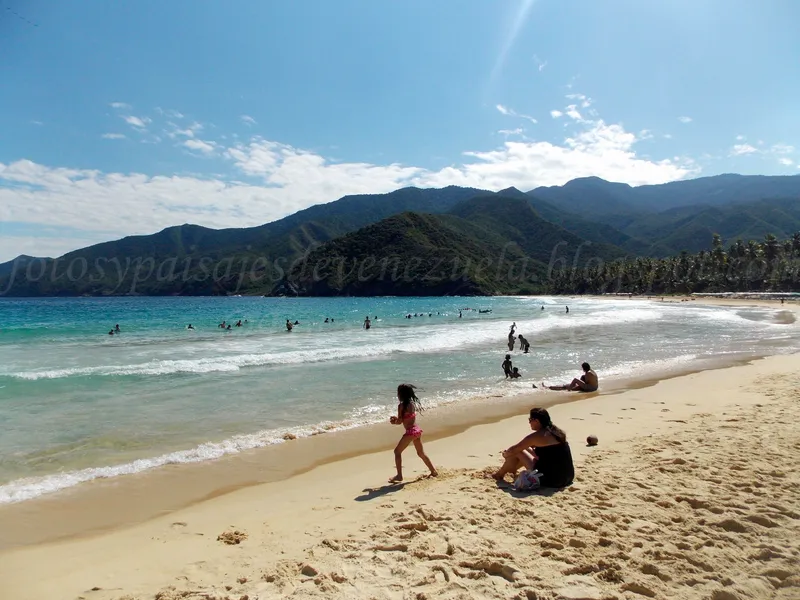 Playa Aroa