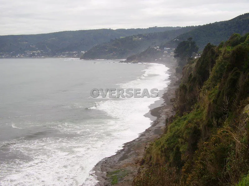 Playa Grande de Niebla