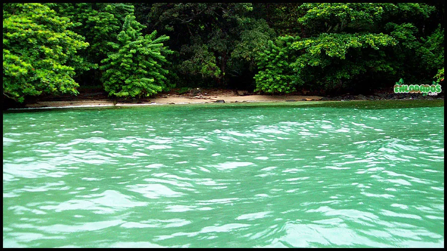 Playa Huerta