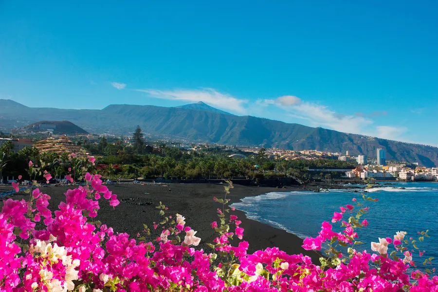 Playa Jardin