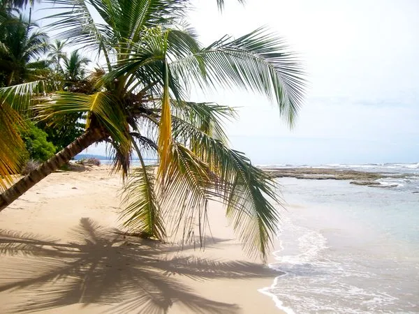 Playa Punta Uva