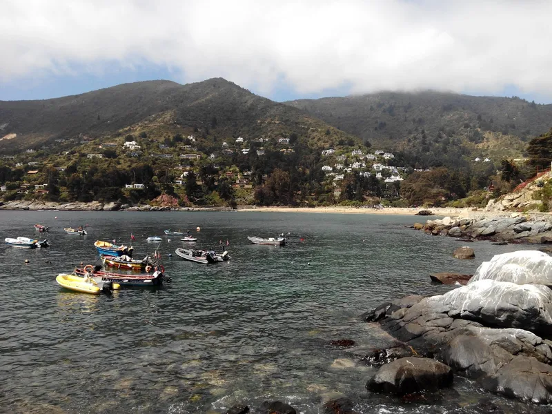 Playa Zapallar