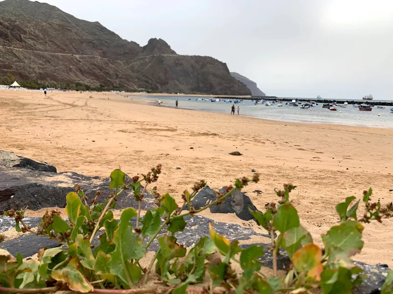 Playa de las Teresitas