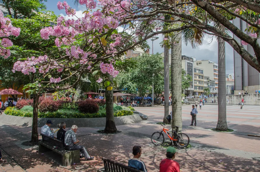 Plaza de Bolivar