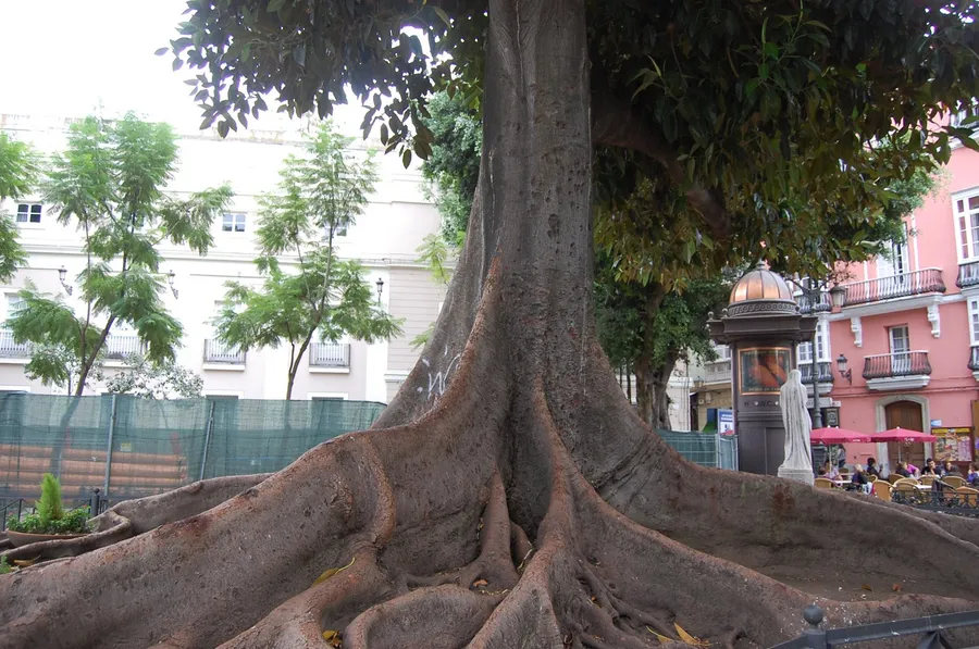 Plaza de Mina