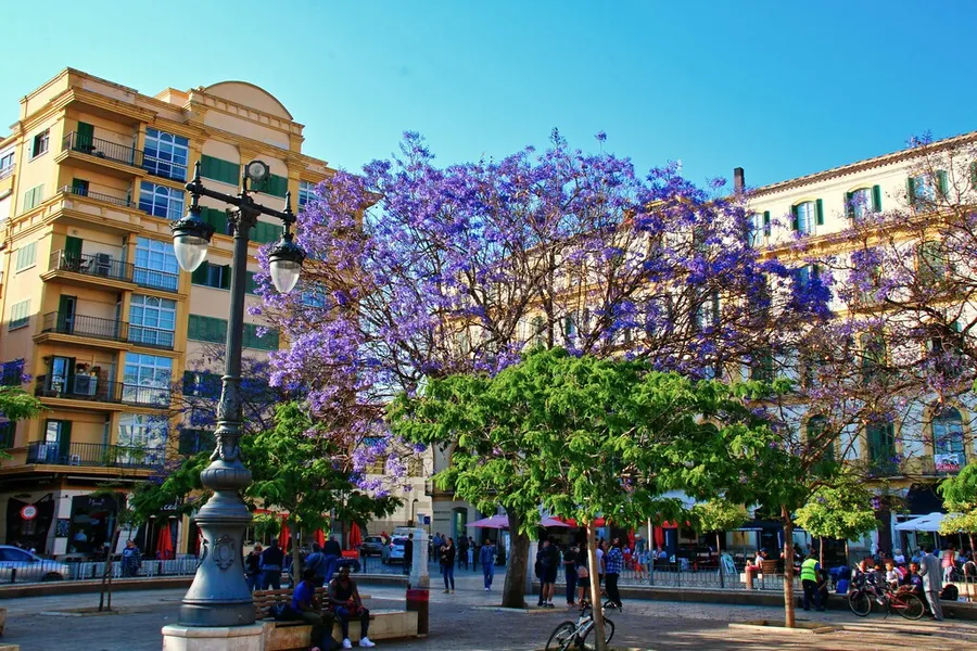 Plaza de la Merced