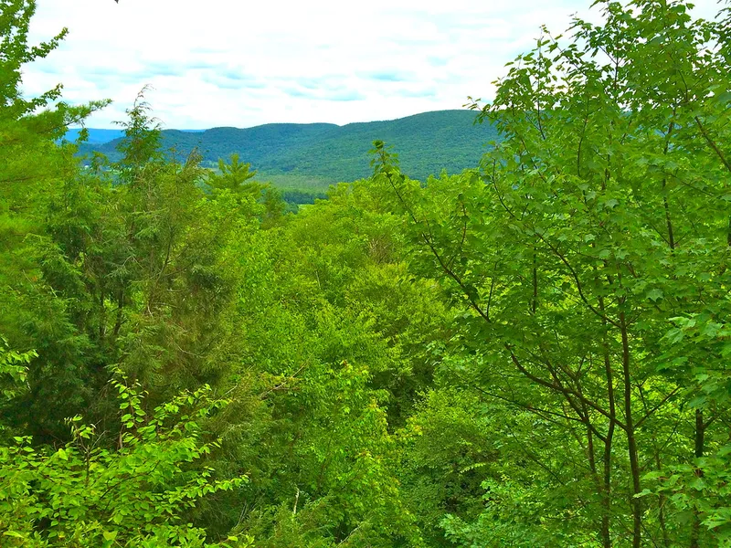 Pleasant and Vining