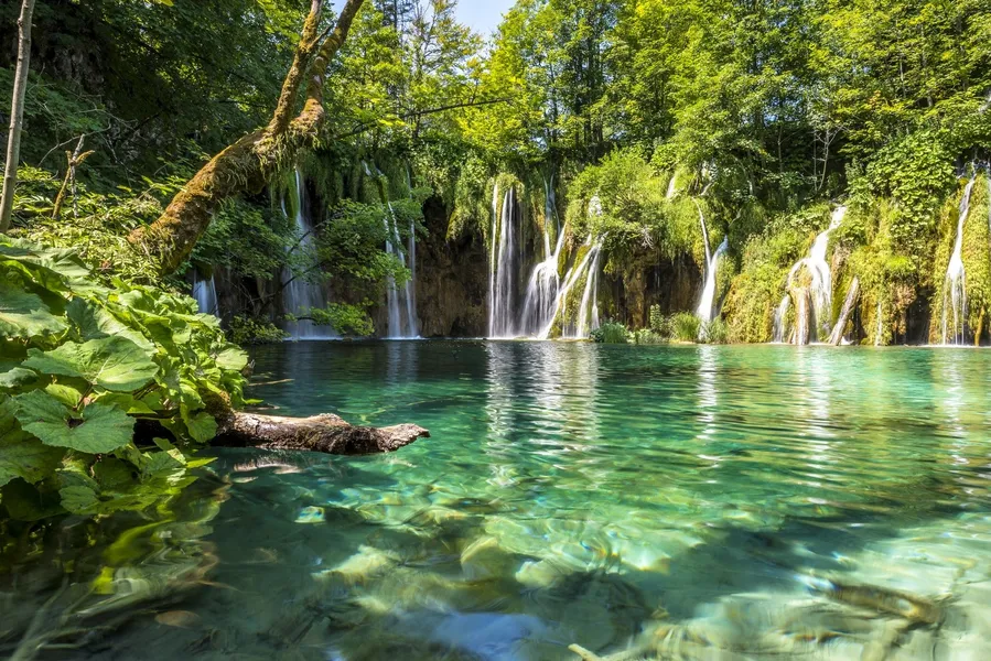 Plitvica Stream