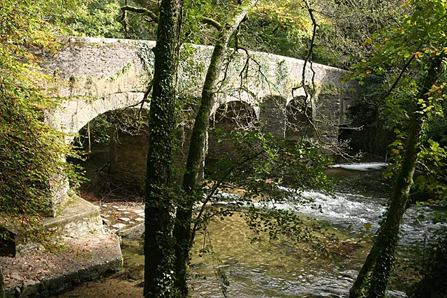 Plymbridge Woods