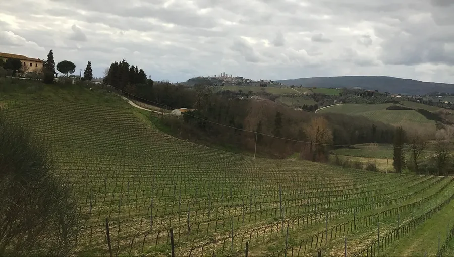 Poggio Alloro