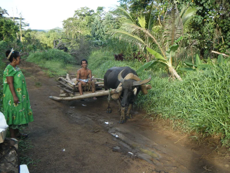 Pohnpei Island