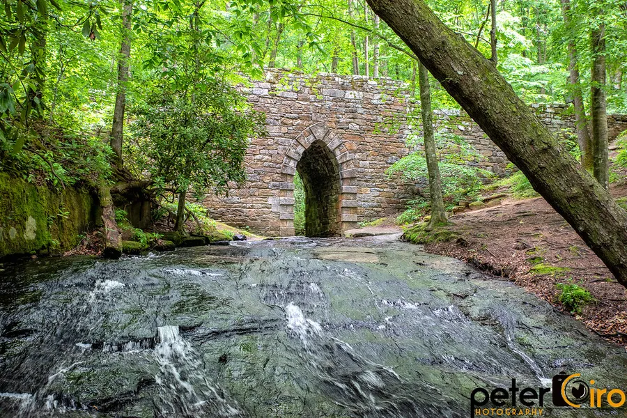 Poinsett Bridge Heritage Preserve