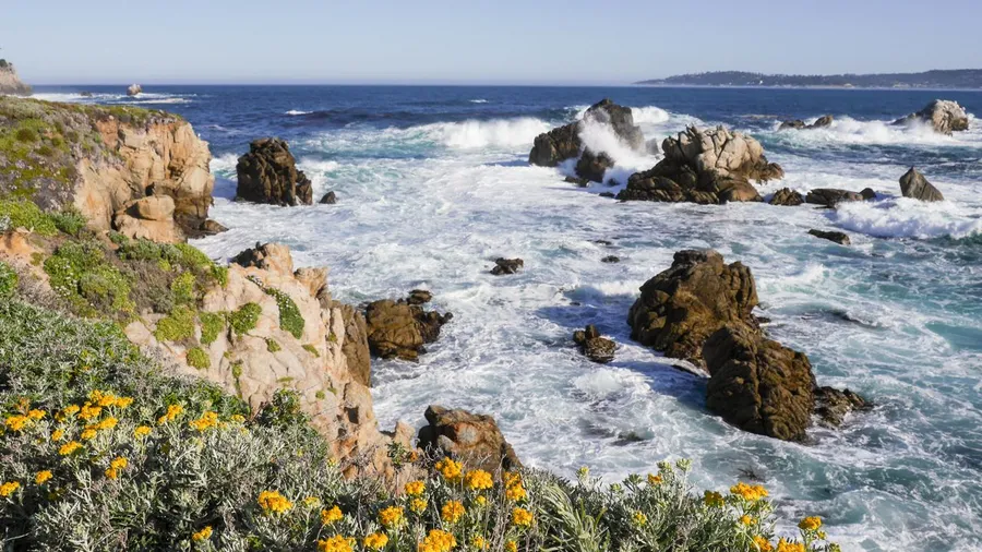 Point Lobos State Natural Reserve
