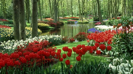 Pond and Fountains