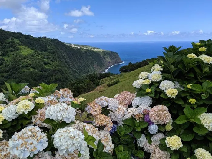 Ponta da Madrugada Viewpoint
