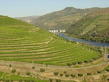 Ponte da Régua