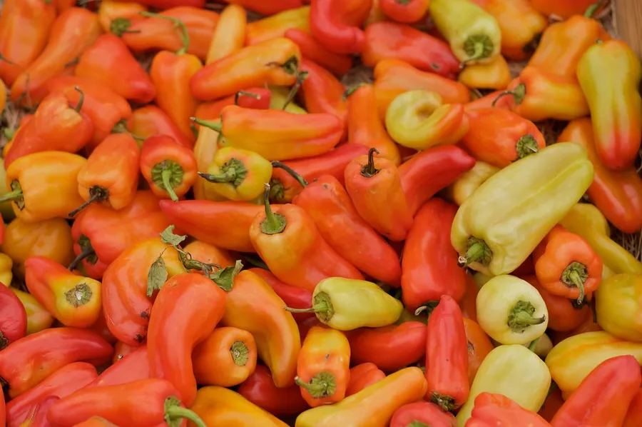 Port Austin Farmers Market