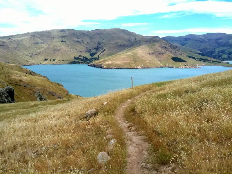 Port Hills