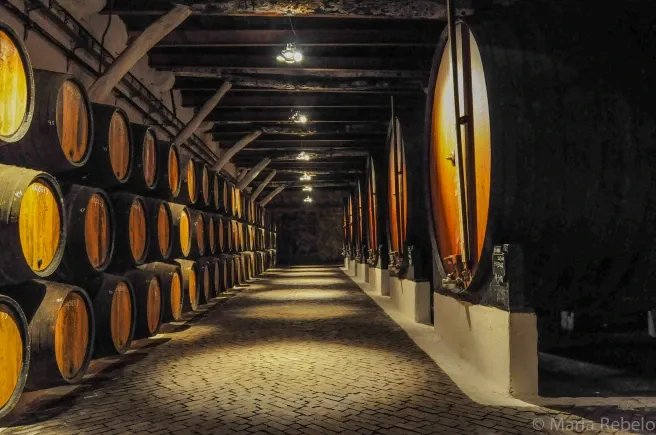 Port Wine Cellars