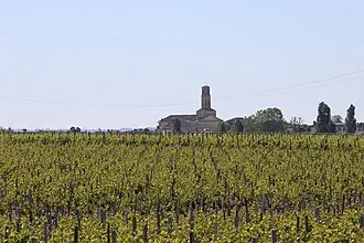 Port de Pauillac