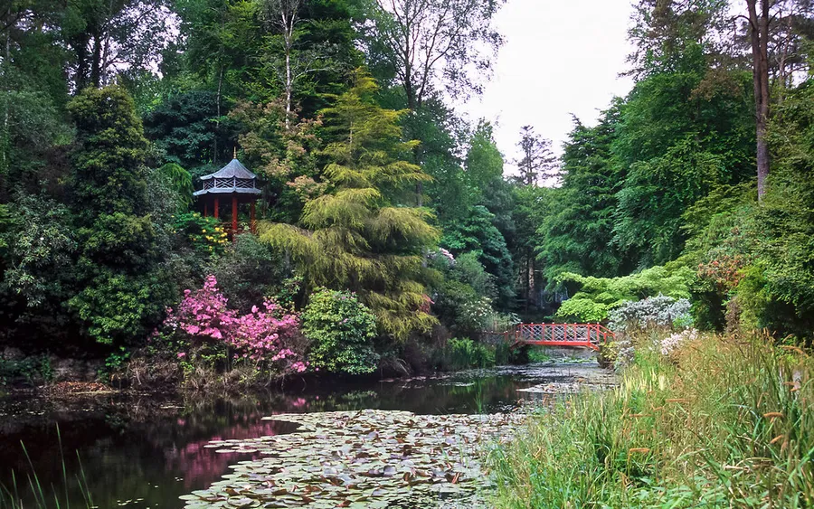 Portmeirion Gardens