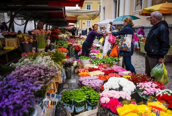 Postojna Market