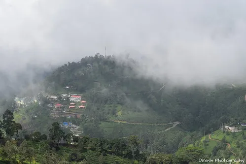 Pothamedu View Point