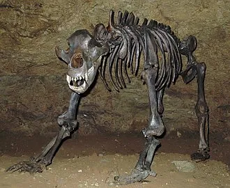 Pottenstein Devil's Cave