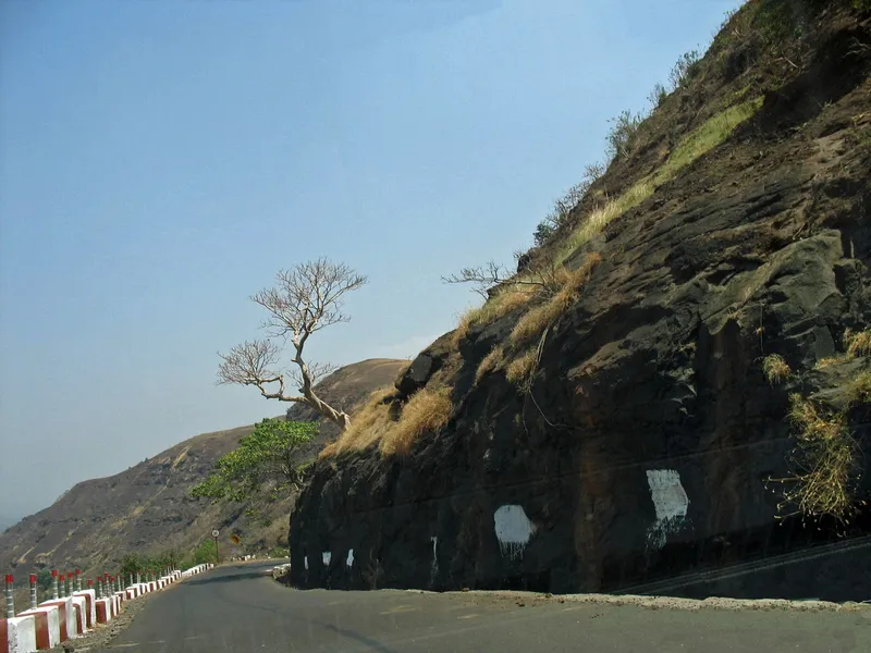 Prabal Fort