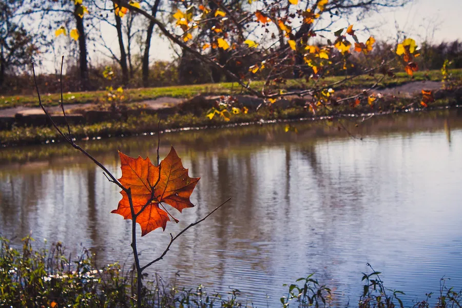 Prairie Park Nature Center