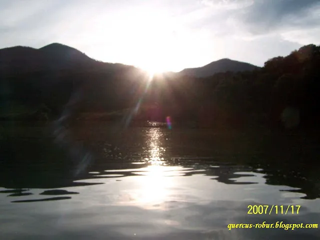 Presa Corrinchis