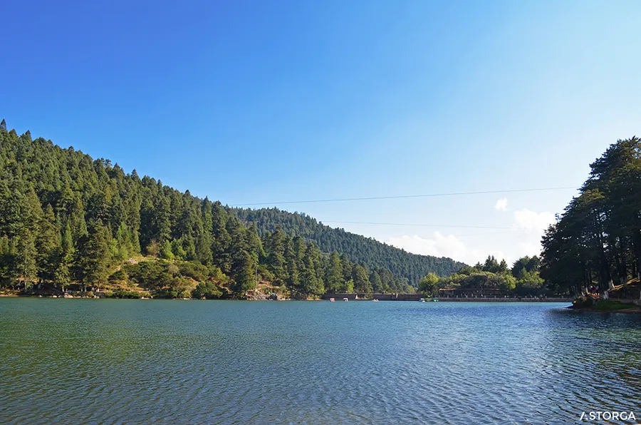 Presa El Cedral