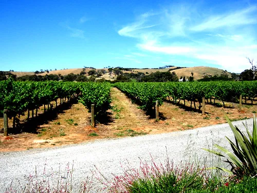 Primo Estate