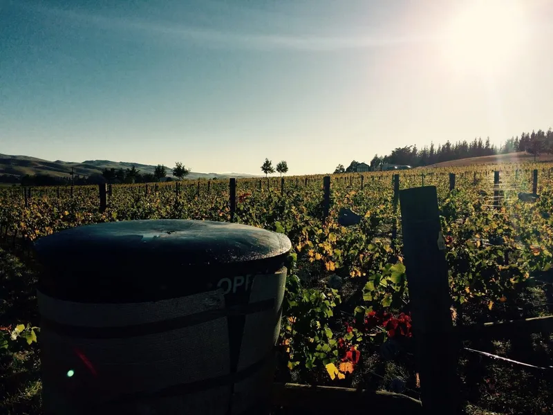 Primrose Winery