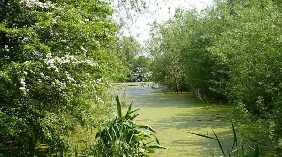 Priory Country Park