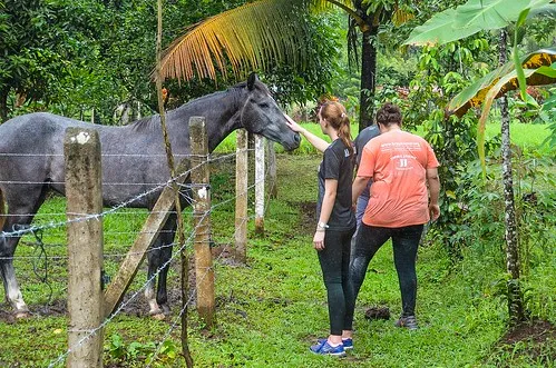 Proyecto Asis Wildlife Rescue Center