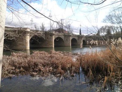 Puente Mayor