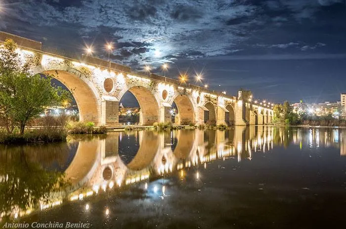 Puente de Palmas
