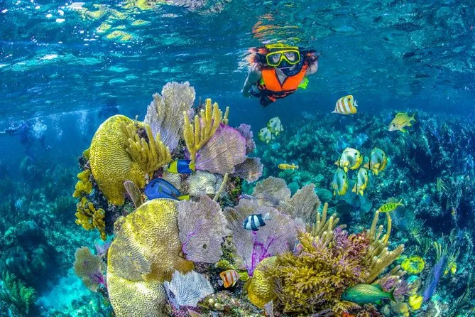 Puerto Morelos Reef National Park