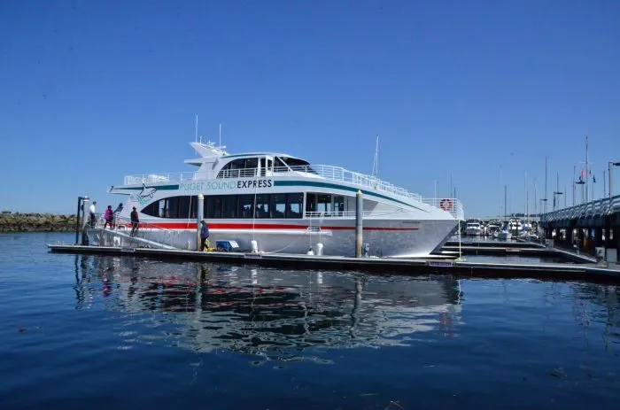 Puget Sound Express Whale Watching
