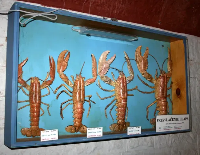 Pula Aquarium