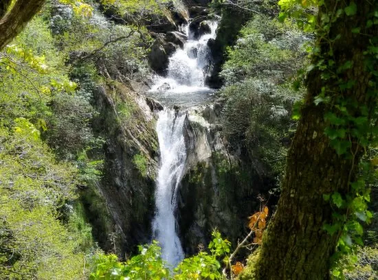 Punchbowl Falls