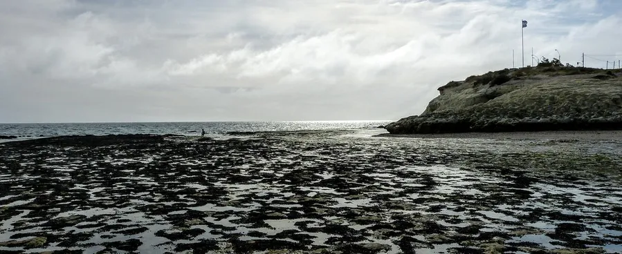 Punta Cuevas