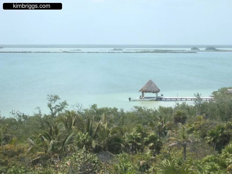 Punta Pajaros