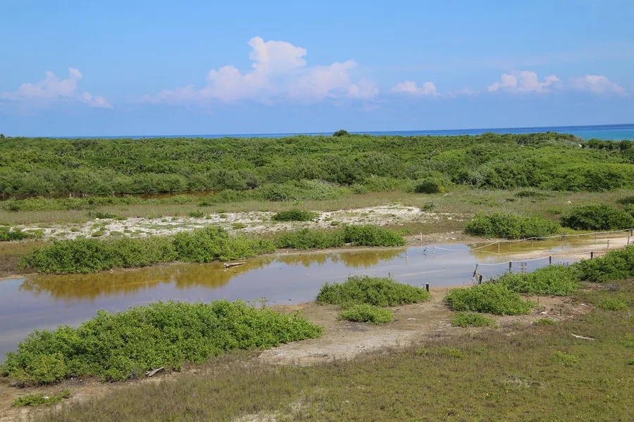 Punta Sur Ecological Park