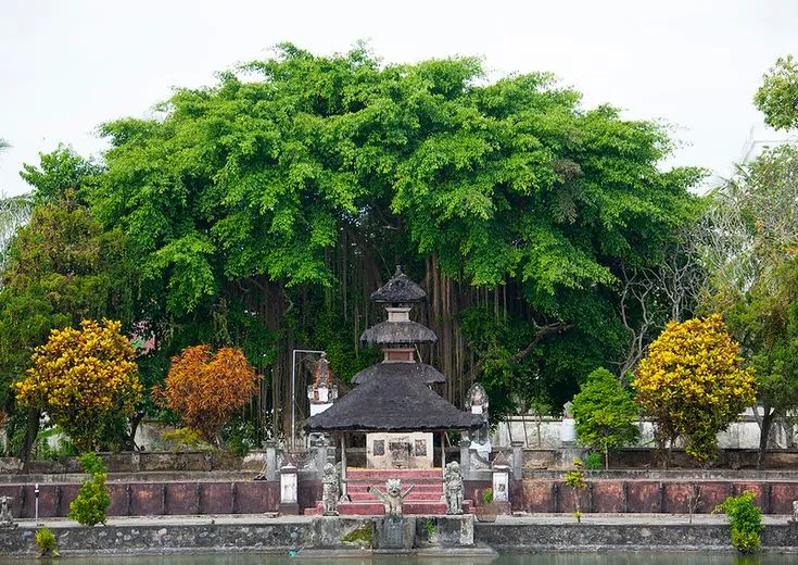 Pura Meru